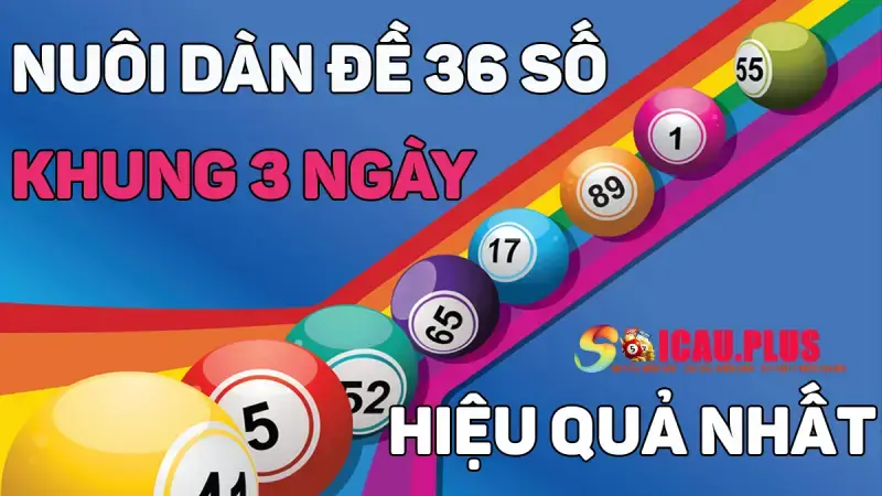 Cách nuôi dàn đề 36 số khung 3 ngày