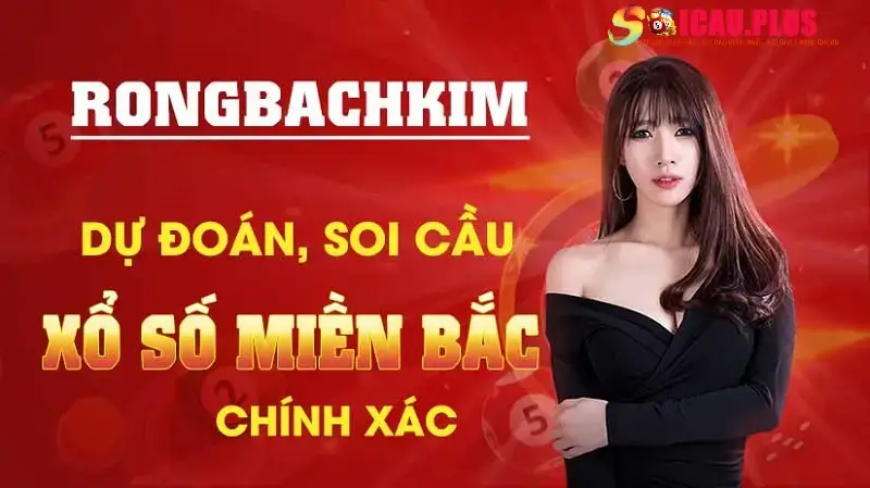 Top Rồng Bạch Kim là gì?