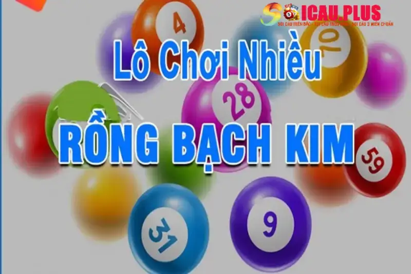 Soi cầu rồng bạch kim trên các diễn đàn